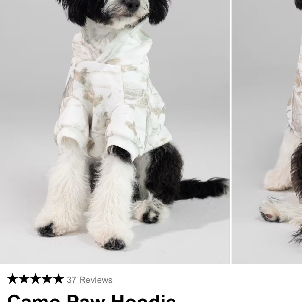 COMFRT PAWS CAMO DOG HOODIE - Picture 12 of 16